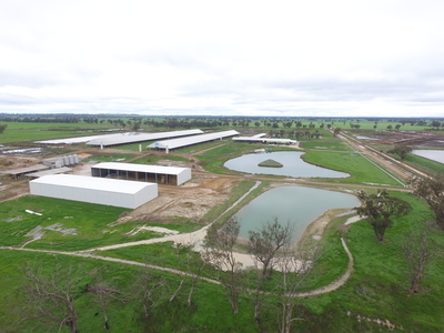 Dairy Yard