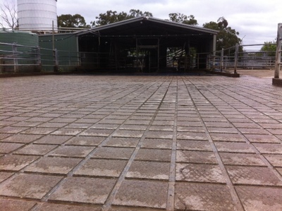 Grooved Shed